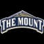 College of Mount Saint Vincent