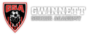 Gwinnett Soccer Academy